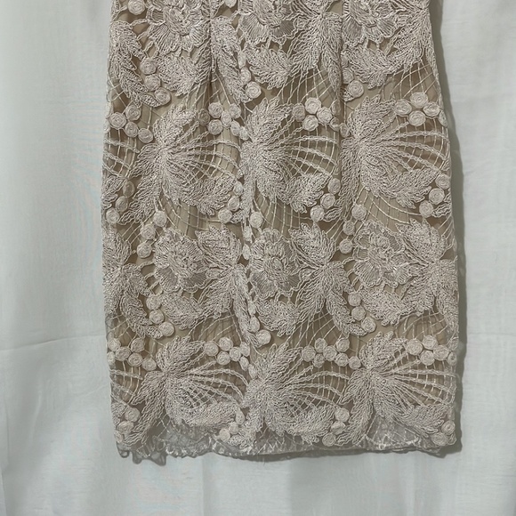 Soieblu Pink Lace Sleeveless Dress with Nude Underlay a175 - Picture 3 of 7